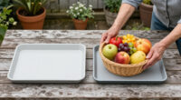 10 Best Walker Trays And Baskets For Seniors In 2026